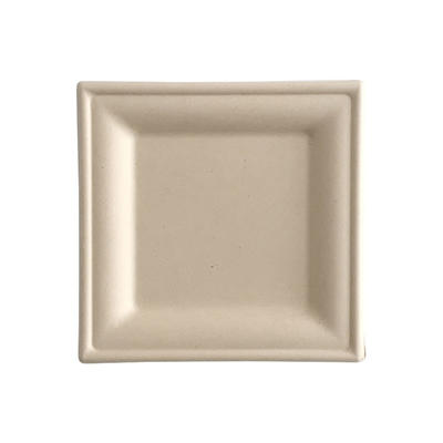 Square  Biodegradable Plate Disposables