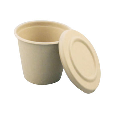 Microwave Safe Biodegradable Cup Hinged Lid